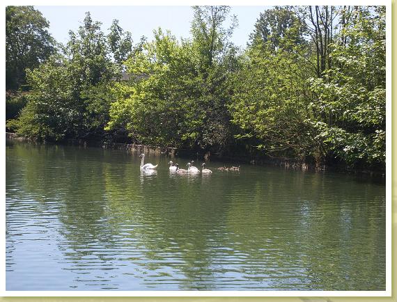 Eswars_24.06.2010 (2)